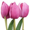 Floristik24 Kunstblumen Tulpe Pink, Frühlingsblume L48cm 5er-Bund
