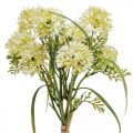 Floristik24 Kunstblumen Weiß Allium Deko Zierlauch 34cm 3St im Bund