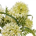 Floristik24 Kunstblumen Weiß Allium Deko Zierlauch 34cm 3St im Bund