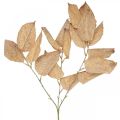 Floristik24 Kunstpflanze Herbstdeko Zweig Blätter weiß gewaschen L70cm