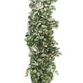Floristik24 Kunstpflanze, Buchsbaumgirlande Grün Weiß gewaschen L148cm