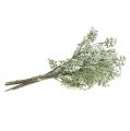 Floristik24 Kunstpflanzen Silberblatt weiß-grün 40cm 6St