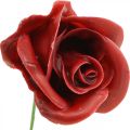 Kunstrosen Bordeaux Wachsrosen Deko Rosen Wachs Ø6cm 18 St | Floristik24.ch