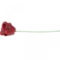 Kunstrosen Bordeaux Wachsrosen Deko Rosen Wachs Ø6cm 18 St | Floristik24.ch