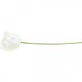 Kunstrosen Creme Wachsrosen Deko Rosen Wachs Ø6cm 18 St | Floristik24.ch