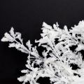 Kunstzweig gefrostet Dekozweig Winterdeko Weiß 78cm 2St | Floristik24.ch