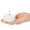 LED-Teelichter aus Echtwachs, 7 cm Durchmesser, Weiss, warmweiss, mit 6-Stunden-Timer, 2er-Set | Floristik24.ch