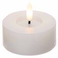 LED-Teelichter aus Echtwachs, 7 cm Durchmesser, Weiss, warmweiss, mit 6-Stunden-Timer, 2er-Set | Floristik24.ch