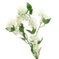 Floristik24 Wandelröschen Lantana Zweig künstlich Weiß 80cm