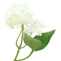 Floristik24 Wandelröschen Lantana Zweig künstlich Weiß 80cm