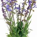 Floristik24 Künstlicher Lavendelstrauß, Deko-Lavendel Violett, Seidenblumen