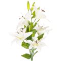 Floristik24 Lilienzweig aus Kunststoff mit 6 weissen Blüten, 66 cm