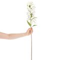Künstliche Lilie Weiss 80cm Dekorationszweig Innenbereich | Floristik24.ch