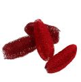 Floristik24 Luffa klein Rot 50St