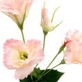 Floristik24 Lysianthus künstlich Rosa 87,5cm