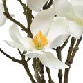 Floristik24 Künstliche Magnolienzweige Weiß Dekozweig H40cm 4St im Bund
