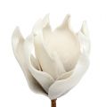 Floristik24 Magnolienblüte aus Foam Grau, Weiß Ø10cm L26cm 4St