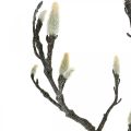 Floristik24 Frühling, Magnolienast mit Knospen, künstliche Dekozweig Braun, Weiß L100cm