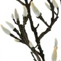 Floristik24 Künstlicher Magnolienzweig, Frühlingsdeko, Dekozweig mit Knospen Braun, Weiß L135cm