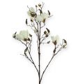 Floristik24 Magnolienzweig Weiß 110cm