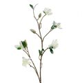 Floristik24 Magnolienzweig weiß L 82cm mit Schnee