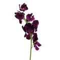 Floristik24 Mokara Orchidee Lila 50cm künstlich 6St