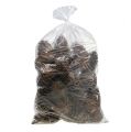 Maritima Zapfen 14/18 natur 25St | Floristik24.ch