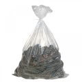 Maritima Zapfen, Trauerfloristik, Adventsdeko, Naturprodukt H12–15cm Ø6,5–10cm 50 St | Floristik24.ch