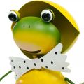 Floristik24 Frosch Dekofigur Gartendeko Regenfrosch Metall H35cm