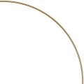 Floristik24 Metallring Dekoring Scandi Ring Deko Loop Gold Ø30,5cm 6St