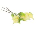 Floristik24 Kunstpflanze Silber-Akazie Mimose Gelb blühend 53cm 3St