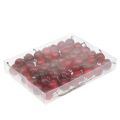 Mini Apfel am Draht Ø2,5cm 48 St | Floristik24.ch