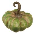 Mini Kürbis Deko Grün Berry Herbstdeko Sortiert 7,5/9/11cm 3 St | Floristik24.ch