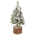 Floristik24 Mini Tannenbaum Holz Sockel Grün Weiß Ø8cm H18cm 3St