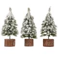 Mini Tannenbaum Holz Sockel Grün Weiß Ø8cm H18cm 3St | Floristik24.ch