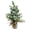 Floristik24 Mini Weihnachtsbaum im Sack Verschneit Ø25cm H42cm
