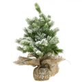 Floristik24 Mini Weihnachtsbaum im Sack Verschneit Ø25cm H42cm