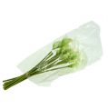 Mini Calla künstlich weiß L 28cm 12St | Floristik24.ch