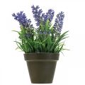 Floristik24 Mini-Lavendel im Topf Kunstpflanze Lavendel Deko H16cm