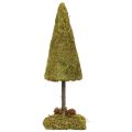 Mini Weihnachtsbaum Tischdeko Moosbaum H30,5cm