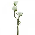 Floristik24 Kunstblume, künstliche Mohnblume, Klatschrose Weiß L55/60/70cm 3er-Set