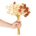 Bund künstliche Mohnkapseln dreifarbig 40 cm 45 Stück für saisonale Dekoration | Floristik24.ch