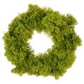 Floristik24 Mooskranz künstlich dekorativ grün 28 cm für Tisch und Tür
