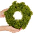 Mooskranz künstlich dekorativ grün 28 cm für Tisch und Tür | Floristik24.ch