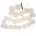 Muschel Girlande Perlmutt Muschelgirlande Capiz 195cm | Floristik24.ch