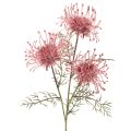 Floristik24 Kunstblume Nadelkissen Protea Rosa-Grün 65 cm 3er-Set