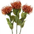 Floristik24 Nadelkissen Exotische Kunstblume Orange Leucospermum Protea 73cm 3St