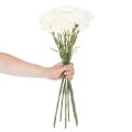Künstliche Nelke mit Stiel, 56 cm, Weiss, Set mit 8 Stück | Floristik24.ch