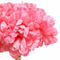 Floristik24 Künstliche Nelke Pink 25cm 7St Künstliche Pflanze wie echt !