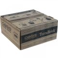 OASIS® TerraBrick™ Steckmasse kompostierbar 8St